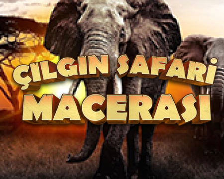 Çılgın Safari Macerası