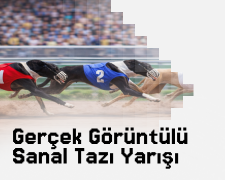 https://cdn.biapi.online/menu/gercek-goruntulu-sanal-tazi-yarisi-oyna_698f2f9412e05.png