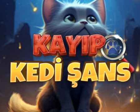 Kayıp Kedi Şans