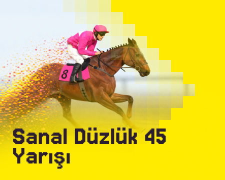 https://cdn.biapi.online/menu/sanal-duzluk-45-atyarisi-oyna_6995f01733c86.png