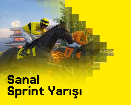 https://cdn.biapi.online/menu/sanal-sprint-atyarisi-oyna_6995f00260b91.png